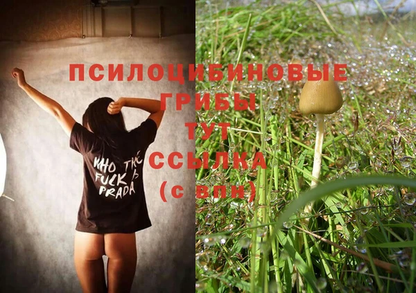 ALPHA PVP Вяземский
