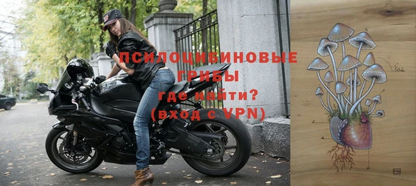соль ск Горняк