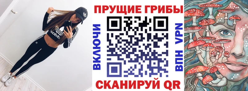 Псилоцибиновые грибы Psilocybine cubensis  Обнинск 
